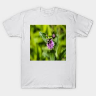 A Bee on a Purple Flower T-Shirt